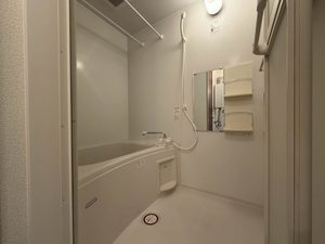 ディアス築地 202号-6