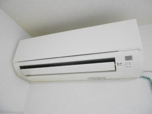 ゴールドバードＫＥＮ 101号-4