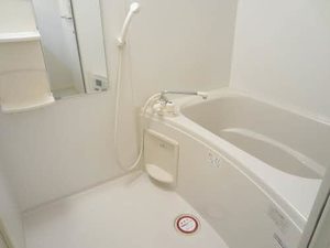 ゴールドバードＫＥＮ 205号-8