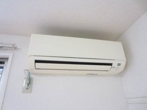 ゴールドバードＫＥＮ 205号-12