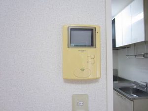 ゴールドバードＫＥＮ 205号-13