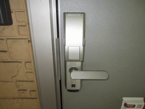 ゴールドバードＫＥＮ 205号-15