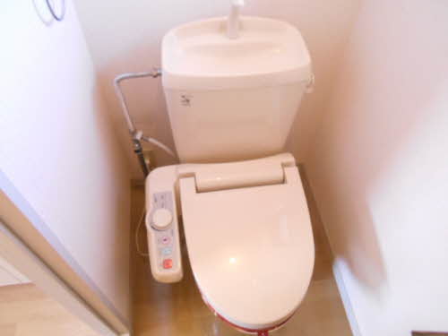 ブルーレトワール 202号-9