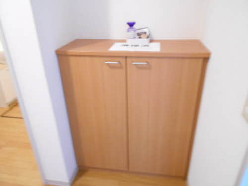 インナーバレー 101号-12