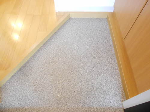 エヴァーグリーンC 201号-12