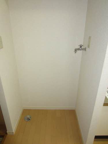 ゴールドバードＫＥＮ 205号-10