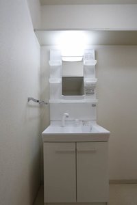 ディアスＯＴ 202号-8