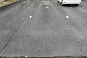 ラブリーハイツ 202号-15