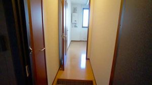 ミオ・マンドリーノ 105号-3