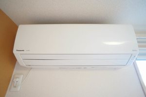 シャーメゾン195 102号-11