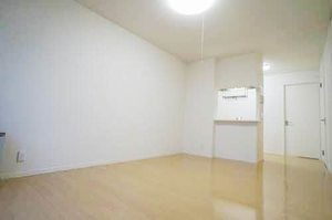 シャーメゾンカメリア 102号-2