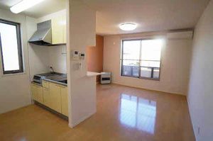 シャーメゾンモルダウA 202号-3