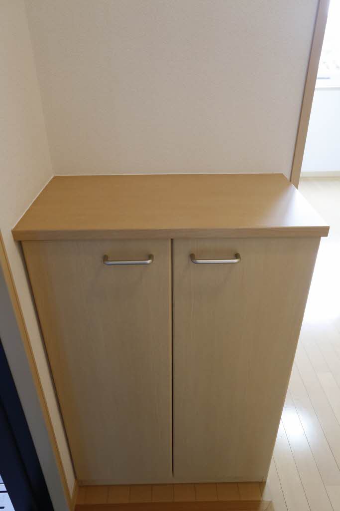 フラッツ・ウィル 201号-11