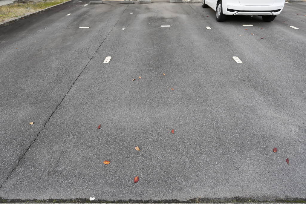 ラブリーハイツ 202号-15