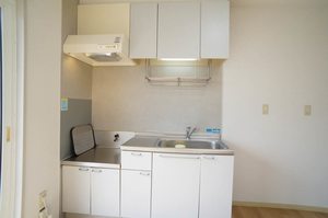 メゾン・ド・ファミーユD 202号-3