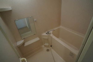 ディアスノザワ 103号-8