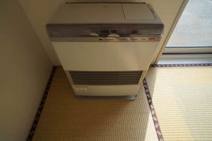 ディアスノザワ 103号-11