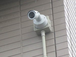 ディアスノザワ 103号-14