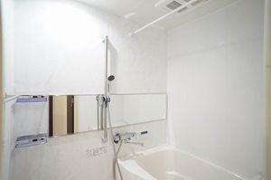 ディアスノザワ 202号-3