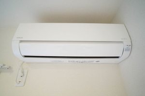 ディアスノザワ 202号-8