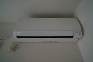 ディアスノザワ 205号-3