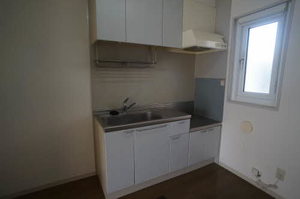 ディアスノザワ 205号-8