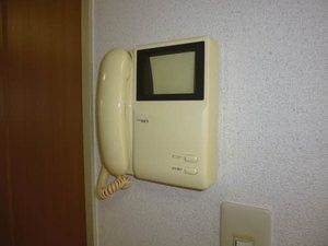 サニーサイド 202号-10