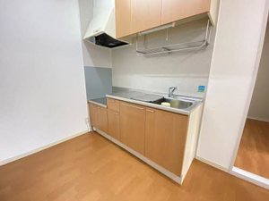 グレース城下Ｄ 201号-3