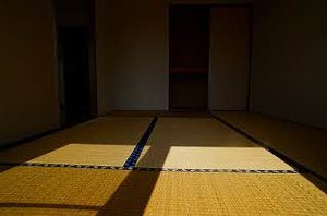 アイア石堂 205号-3