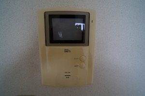 エヴァーグリーン 102号-6