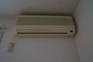 エヴァーグリーン 201号-4