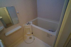 エヴァーグリーン 201号-8