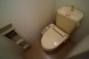 エヴァーグリーン 201号-9