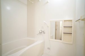 ドラゴンパークスＦ 101号-4