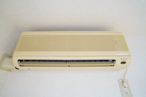 ドラゴンパークスＦ 101号-11