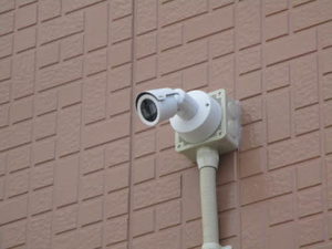 プロムナード鹿島Ｄ 102号-2