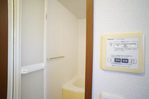 プロムナード鹿島Ｄ 202号-7