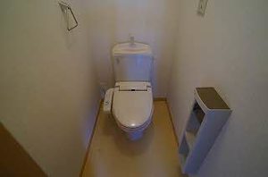 フェリーチェ　ピァッツァ 202号-10