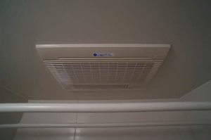 ＴＳアルカディア 202号-3