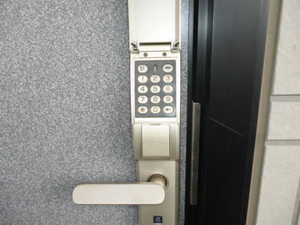 ＴＳアルカディア 202号-5