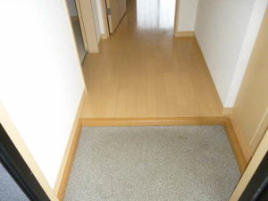 ＴＳアルカディア 202号-6