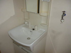 ＴＳアルカディア 202号-7