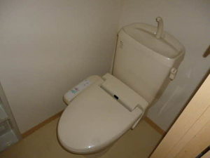 ＴＳアルカディア 202号-9