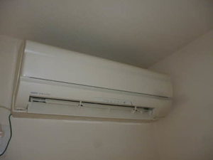 ＴＳアルカディア 202号-11