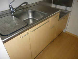 ＴＳアルカディア 202号-13