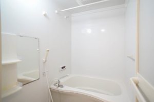 シャーメゾンイシファインＢ 202号-4