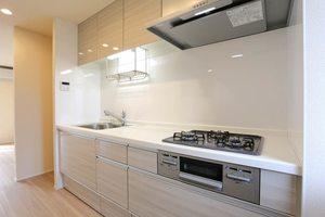 ディアスしもながSO A 101号-2