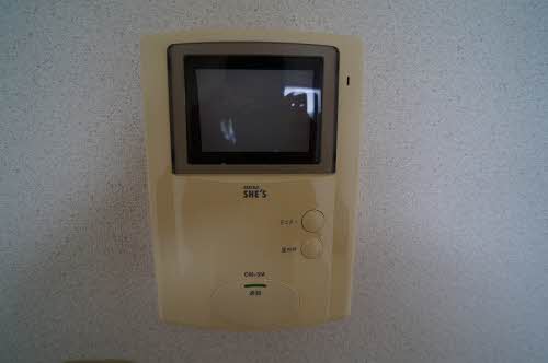 エヴァーグリーン 102号-6