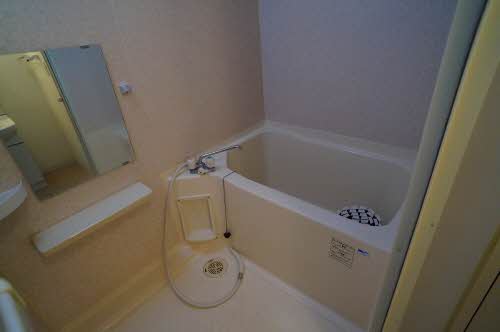 エヴァーグリーン 102号-8