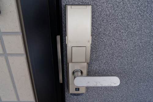 エヴァーグリーン 102号-11